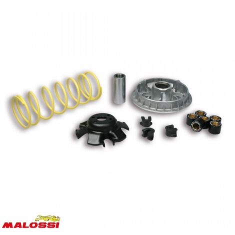Variateur Malossi pour Scooter Kymco 250 People S Après 2006 (1/2)