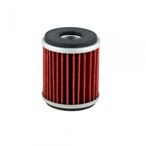 Filtre à huile Champion pour Moto Gas gas 250 Ec Enduro 4T 2010 (1/3)
