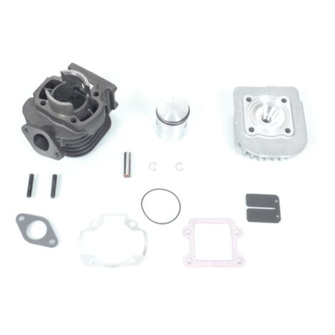 Haut moteur Polini pour Scooter Malaguti 50 F10 Avant 2020 Neuf (1/5)