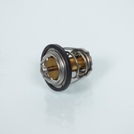 Thermostat origine pour Scooter Peugeot 125 Elyseo Après 1999 (1/3)