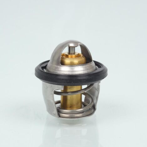 Thermostat RMS pour Scooter Kymco 300 People Gti 2010 129962 Neuf (1/3)