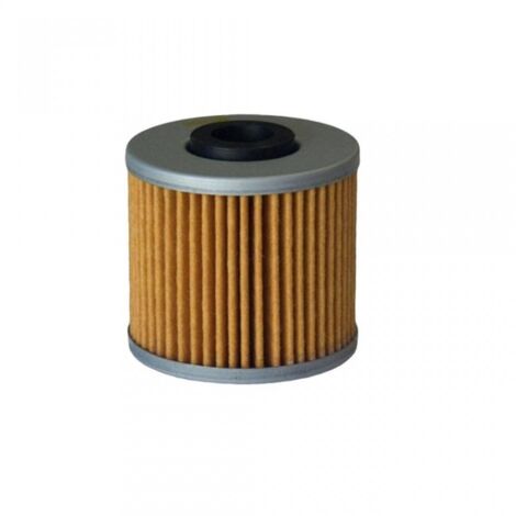 Filtre à huile Powerflux pour Scooter Kymco 125 X-Towni Cbs 2016 (1/3)