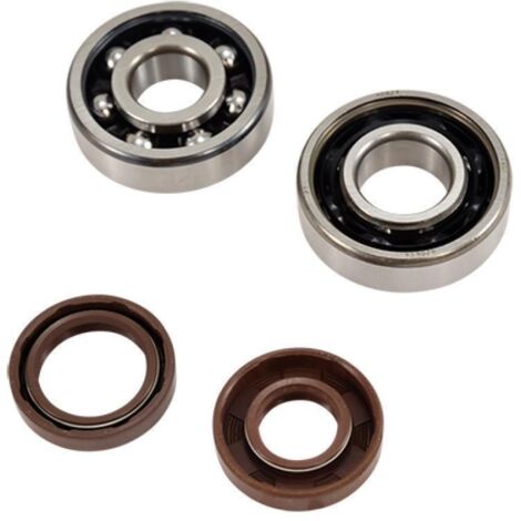 Roulement ou joint spi moteur Doppler pour Moto Rieju 50 SMX Neuf (1/5)