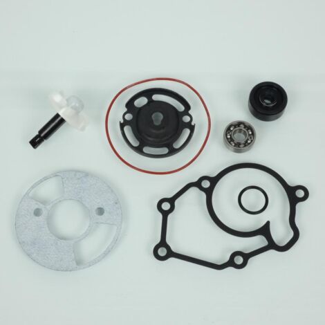Pompe à eau Kyoto pour Scooter MBK 125 Vp Cityliner 2007 à 2012 (1/3)