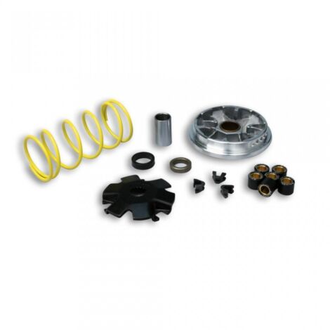 Variateur Malossi pour Scooter Derbi 50 Hunter Multivar / 5111151 (1/3)