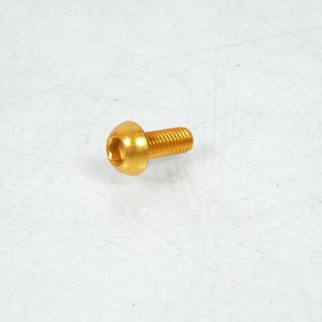 Vis Dôme BTR 5mm M6 pas 100 16mm annodisé Or 3AS Racing pour moto (1/2)