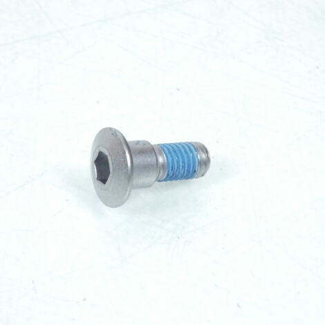 Vis M8 pour disque frein AV pour scooter Suzuki 250 Burgman (1/4)