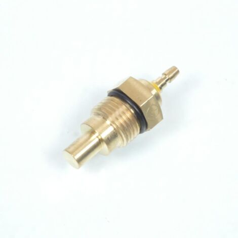Sonde de température RMS pour auto Piaggio Porter 8342087303000 (1/2)
