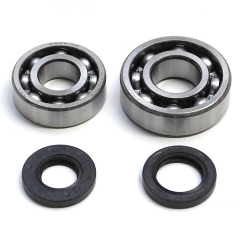 Roulement ou joint spi moteur P2R pour Mobylette Peugeot 50 Vogue (1/2)