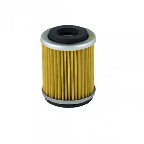 Filtre à huile Champion pour Moto Yamaha 200 TW 1989 à 1999 X313 (1/5)