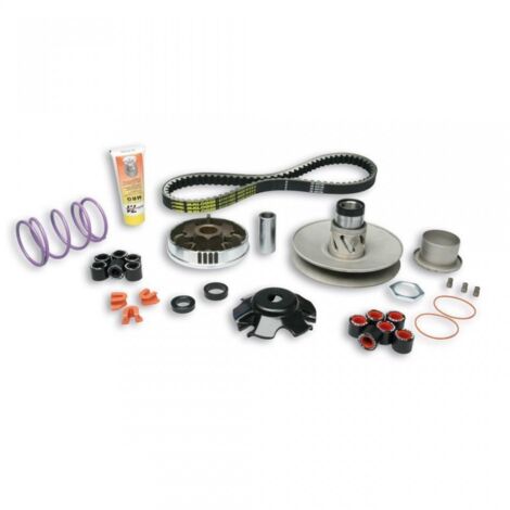 Variateur Malossi pour Scooter Aprilia 50 SR Après 2004 6114219 / (1/3)