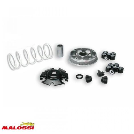 Variateur Malossi pour Scooter Kymco 125 Super 8 Après 2008 (1/2)