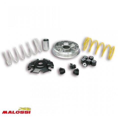Variateur Malossi pour Scooter Piaggio 125 Vespa primavera Après (1/2)
