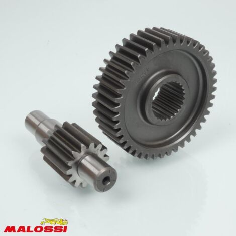 Pont arrière de transmission Malossi pour Scooter MBK 125 (1/3)