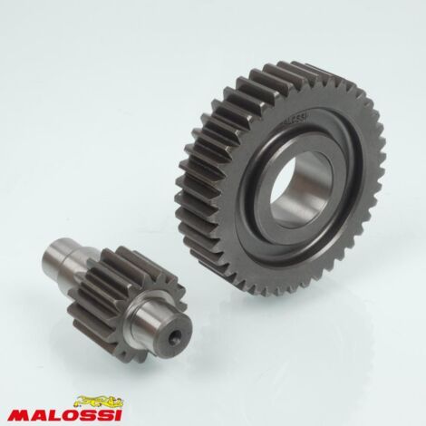 Pont arrière de transmission Malossi pour Scooter Italjet 125 (1/2)