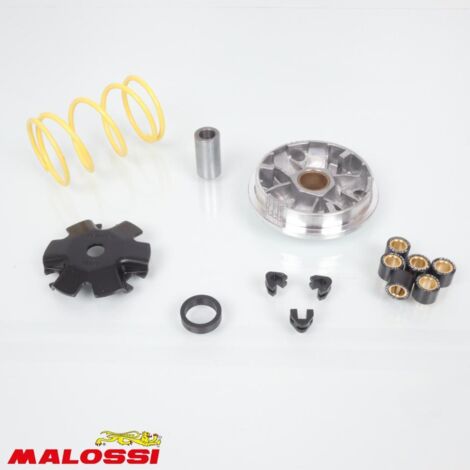 Variateur Malossi pour Scooter Honda 50 SH Après 1996 51 7117 / (1/2)