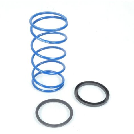 Ressort d embrayage Polini pour Scooter Benelli 50 K2 Lc Neuf (1/5)