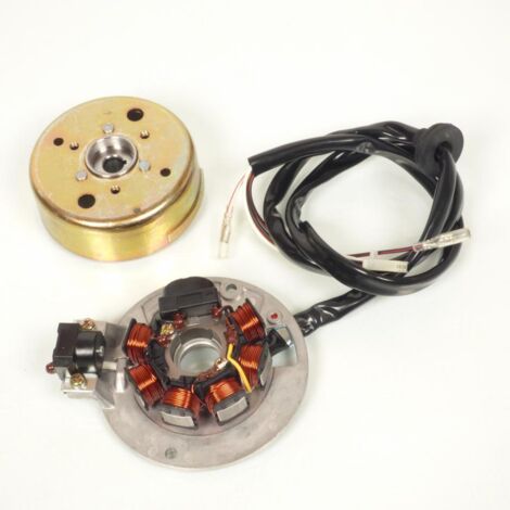 Stator rotor d allumage P2R pour Mobylette Rieju 50 Windy AC (1/5)