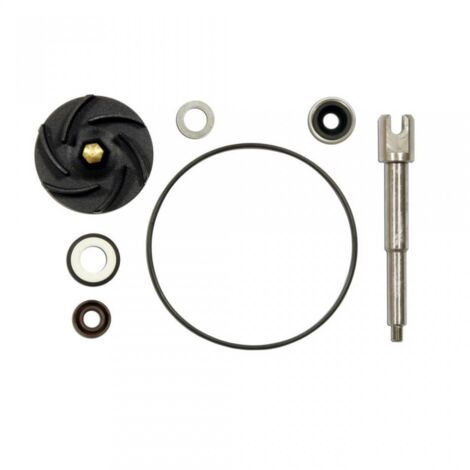 Kit Pompe à eau Piaggio Beverly 500 2002-2004