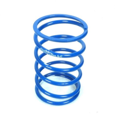 Ressort d'embrayage Polini pour scooter Piaggio 125 Vespa Gts (1/5)