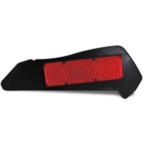 Filtre à air Champion pour Scooter Yamaha 300 Czd X-Max Abs 2017 (1/2)