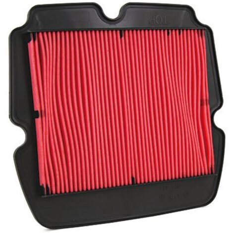 Filtre à air Champion pour Moto Honda 1800 Gl F6B 2013 à 2017 (1/4)