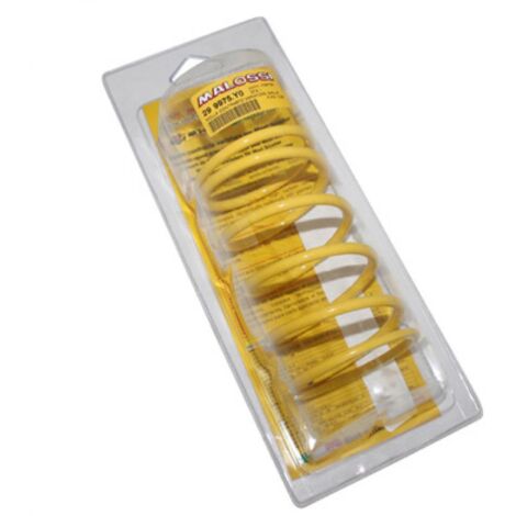 Ressort d embrayage Malossi pour Scooter Aprilia 300 Leonardo (1/2)