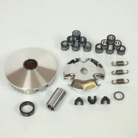 Variateur Polini pour Scooter Beta 50 Eikon Neuf (1/5)