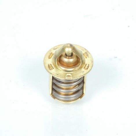 Thermostat P2R pour Moto Aprilia 50 RS 2006 à 2020 Neuf (1/3)