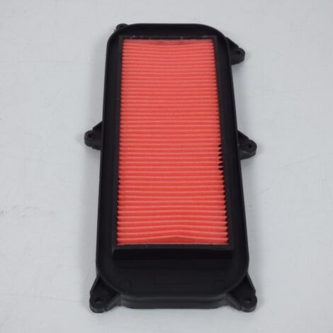 Filtre à air Athena pour Scooter Kymco 200 Dink Euro3 2006 à 2016 (1/4)