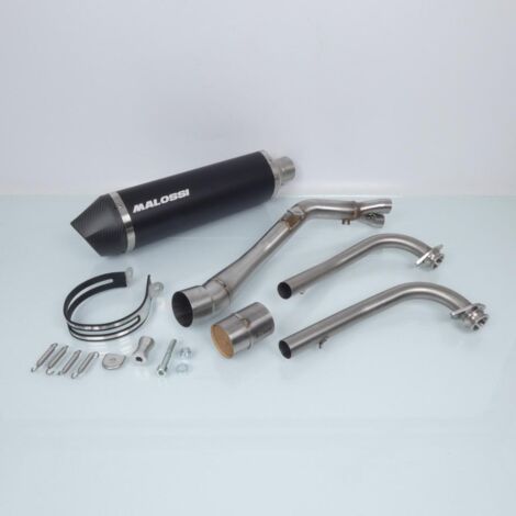 Pot échappement Malossi Maxi Wild Lion pour scooter Yamaha 530
