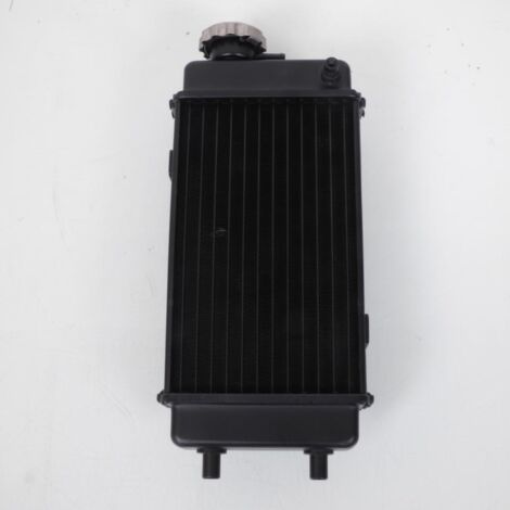 Radiateur de refroidissement P2R pour Moto Minarelli 50 AM6 Avant