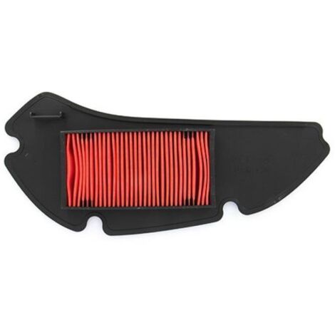 Filtre à air Champion pour Scooter Honda 150 Ses Dylan 2002 à (1/2)
