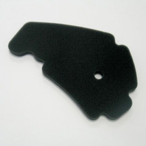 Filtre à air Athena pour Scooter Aprilia 200 Atlantic 2004 à 2007 (1/4)