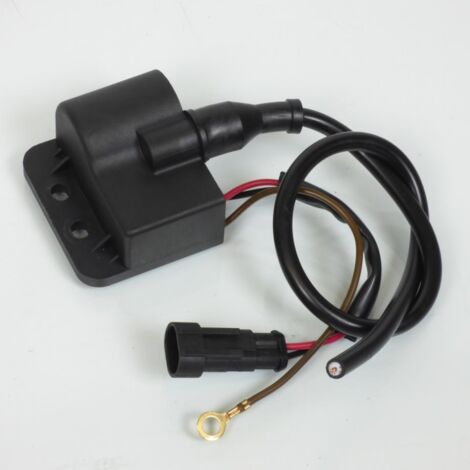 Bobine d'allumage HT P2R pour Moto Rieju 50 RR 1999 à 2020 Neuf (1/3)