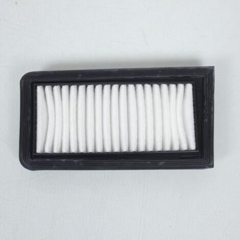 Filtre à air pour scooter Suzuki 650 Burgman 2003 à 2018 (1/4)
