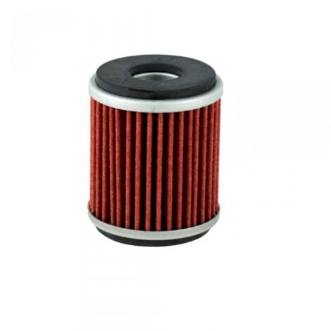 Filtre à huile Champion pour Moto Yamaha 250 Yz-F 4T 2009 à 2023 (1/3)