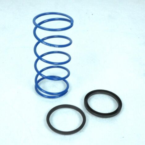 Ressort d embrayage Polini pour Scooter Aprilia 50 Gulliver Lc (1/5)