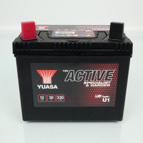 Batterie SLA Yuasa U1 / 12V 30Ah pour motoculture tondeuse Neuf (1/5)