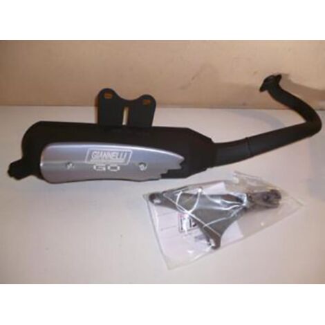 Pot d échappement GIANNELLI pour Scooter Piaggio 50 Zip Sp 2T (1/4)