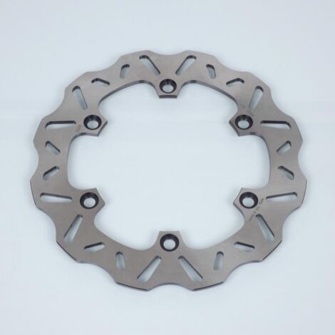 Disque de frein Polini pour Moto Honda 1100 Cbr Xx 1997 à 2007 (1/3)