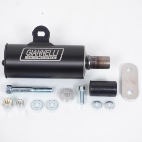 Silencieux d échappement GIANNELLI pour Scooter LML 200 Star 2011 (1/5)
