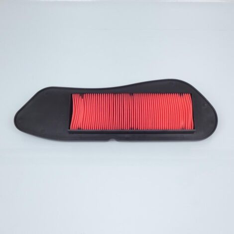 Filtre à air Malossi pour Scooter Yamaha 250 YP X-MAX 2006 à 2016 (1/3)