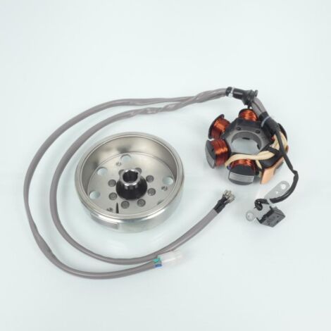 Stator rotor d allumage RMS pour Scooter Gilera 50 Storm 1994 à (1/4)