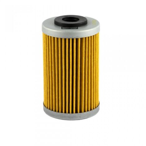 Filtre à huile Champion pour Moto Husaberg 450 FE 2009 à 2014 (1/4)