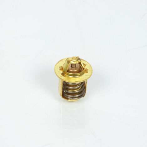 Thermostat Générique pour moto Aprilia 50 RS 1996-2005 Neuf (1/4)