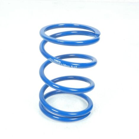 Ressort d'embrayage Polini pour scooter Yamaha 125 Majesty 2014 (1/3)