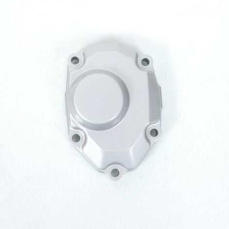 Carter allumage origine pour Moto Suzuki 650 Bandit 2007 à 2010 (1/5)