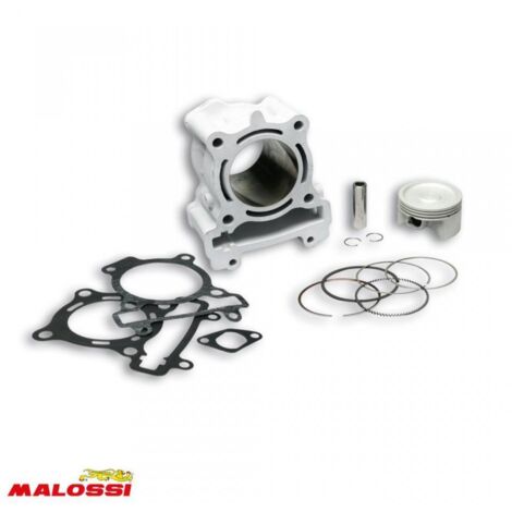 Cylindre Malossi pour Scooter Yamaha 125 Xmax 2008 à 2017 3114852
