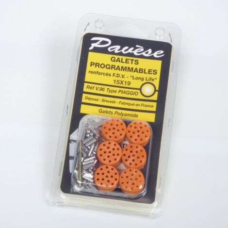 Galet rouleau de variateur Pavèse pour Scooter Piaggio 50 Typhoon (1/3)